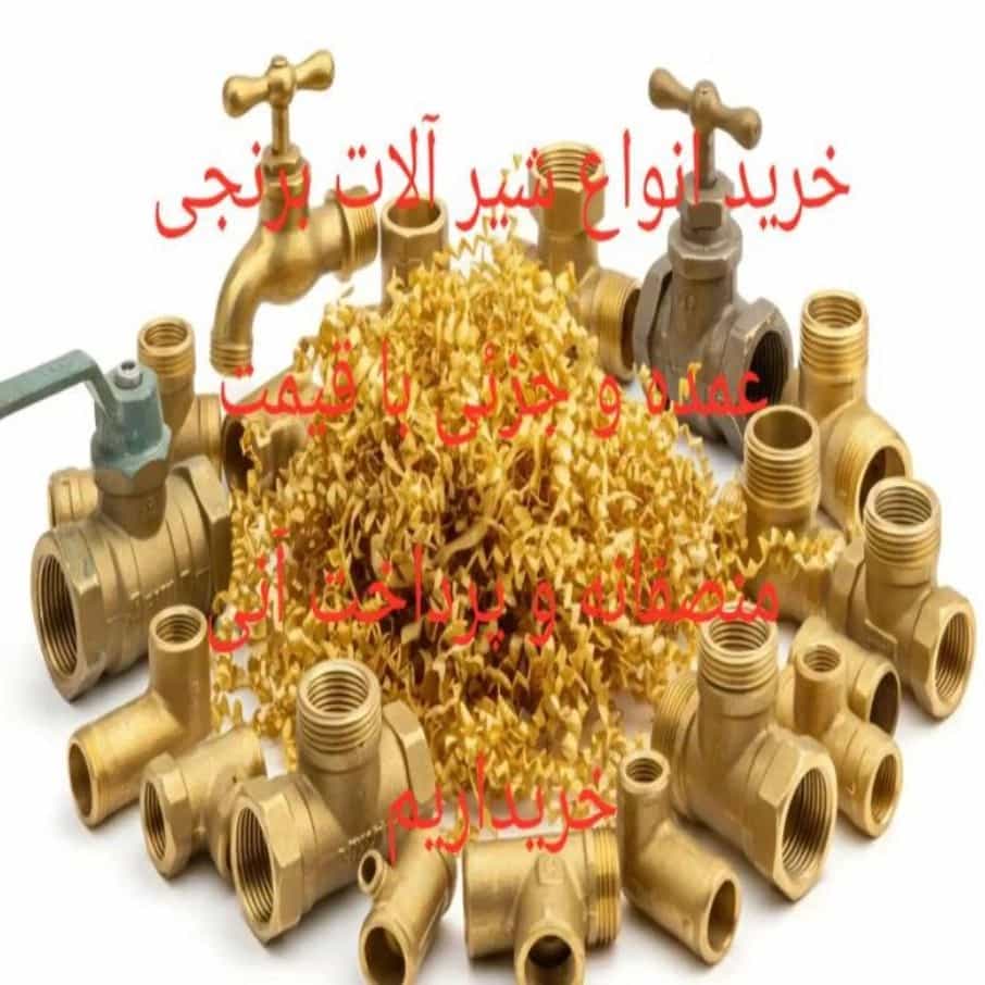 1785397358823.webp
